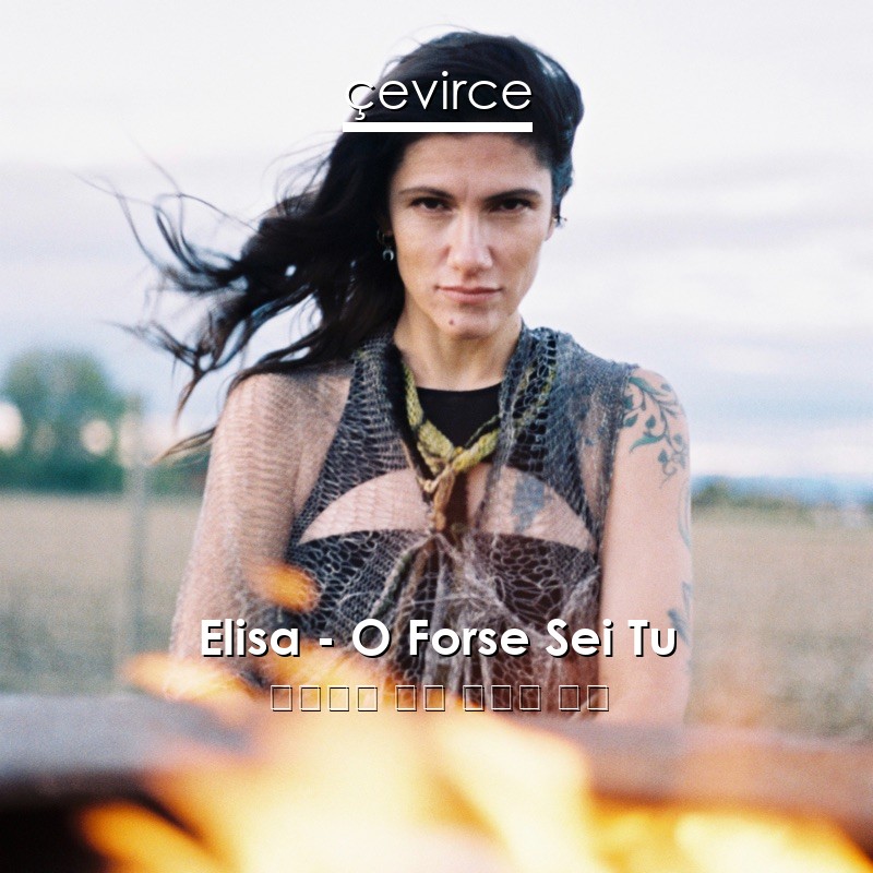 Elisa – O Forse Sei Tu 意大利語 歌詞 中國人 翻譯