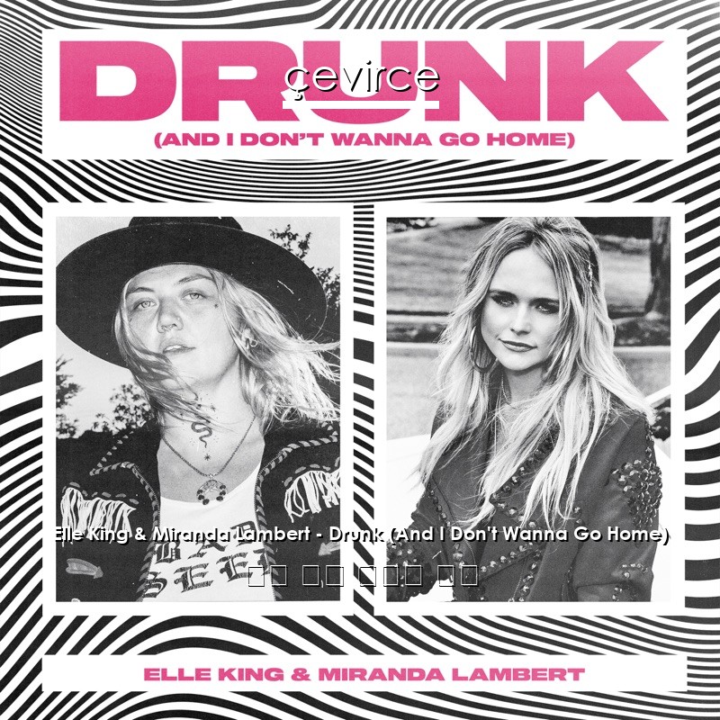 Elle King & Miranda Lambert – Drunk (And I Don’t Wanna Go Home) 英語 歌詞 中國人 翻譯