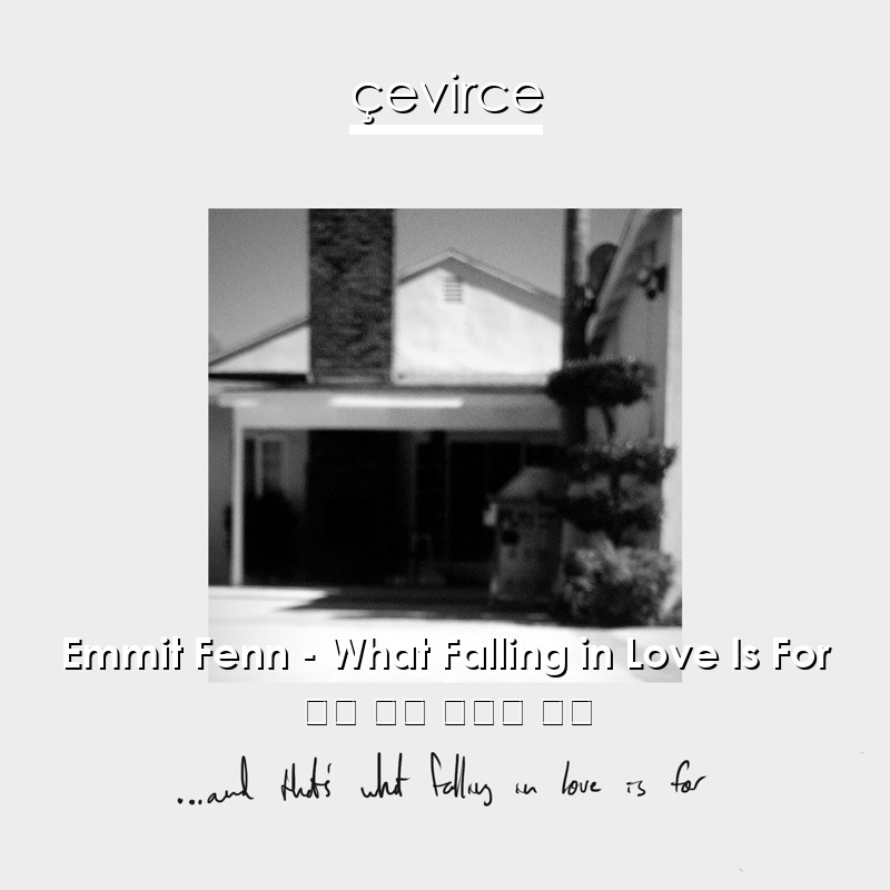 Emmit Fenn – What Falling in Love Is For 英語 歌詞 中國人 翻譯