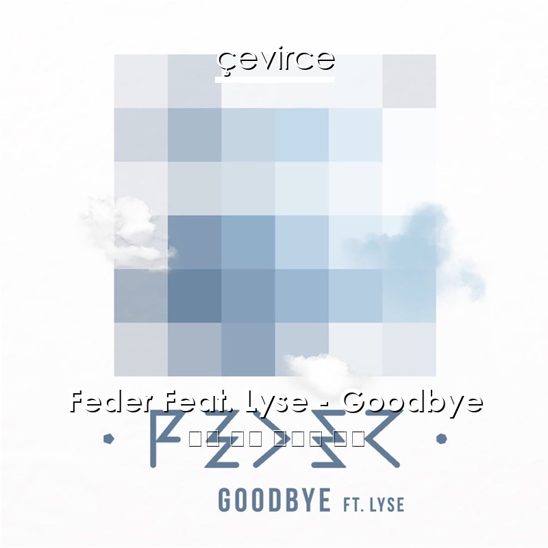 Feder Feat. Lyse – Goodbye 英語 歌詞 中國人 翻譯