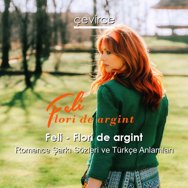 Feli – Flori de argint Romence Şarkı Sözleri Türkçe Anlamları