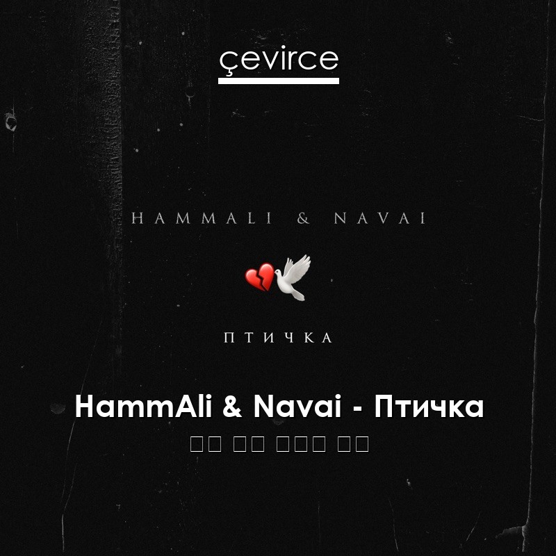 HammAli & Navai – Птичка 俄語 歌詞 中國人 翻譯