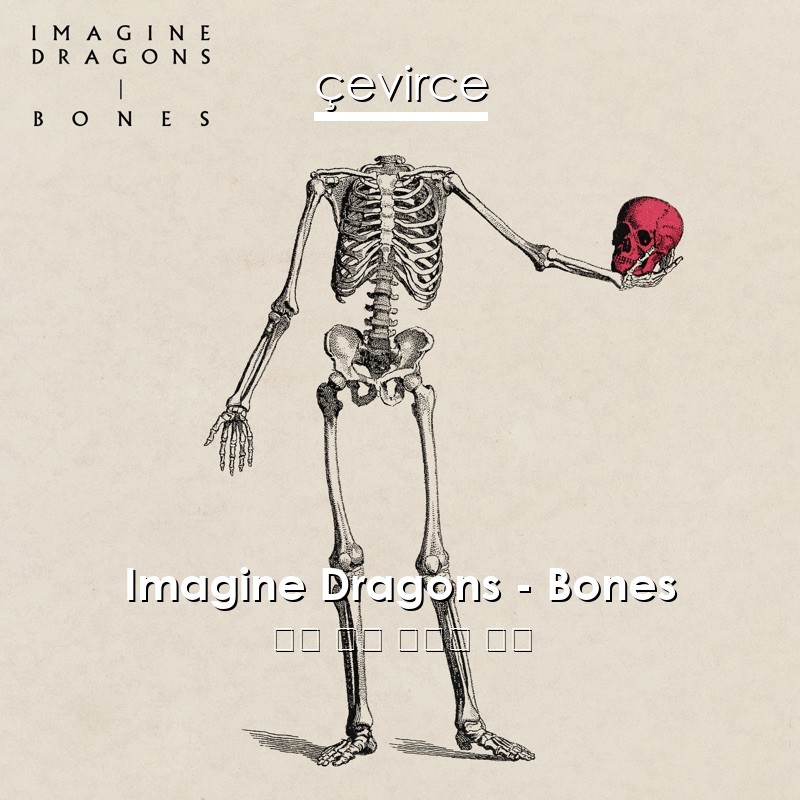 Imagine Dragons – Bones 英語 歌詞 中國人 翻譯