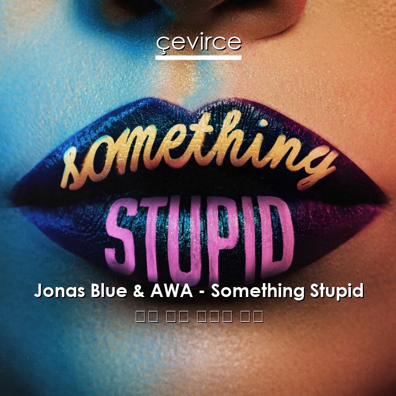 Jonas Blue & AWA – Something Stupid 英語 歌詞 中國人 翻譯