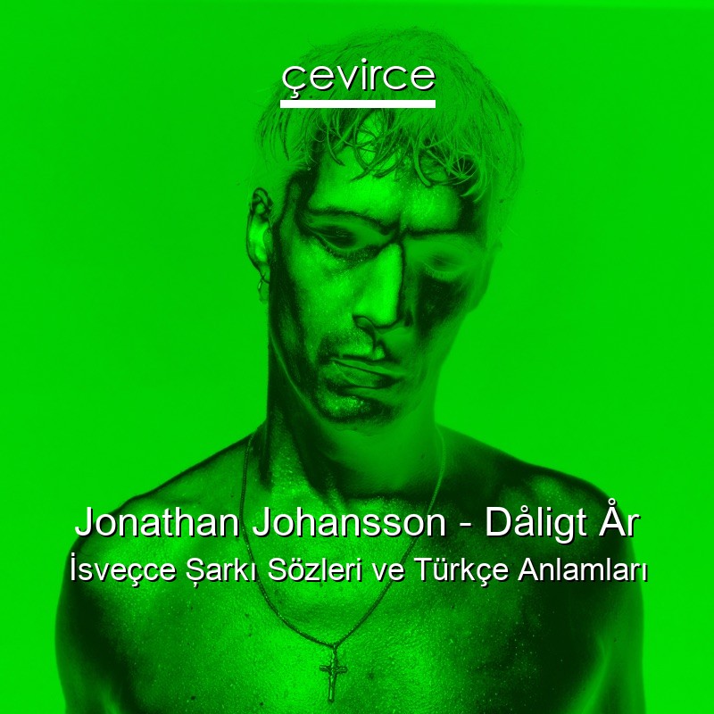 Jonathan Johansson – Dåligt År İsveçce Şarkı Sözleri Türkçe Anlamları