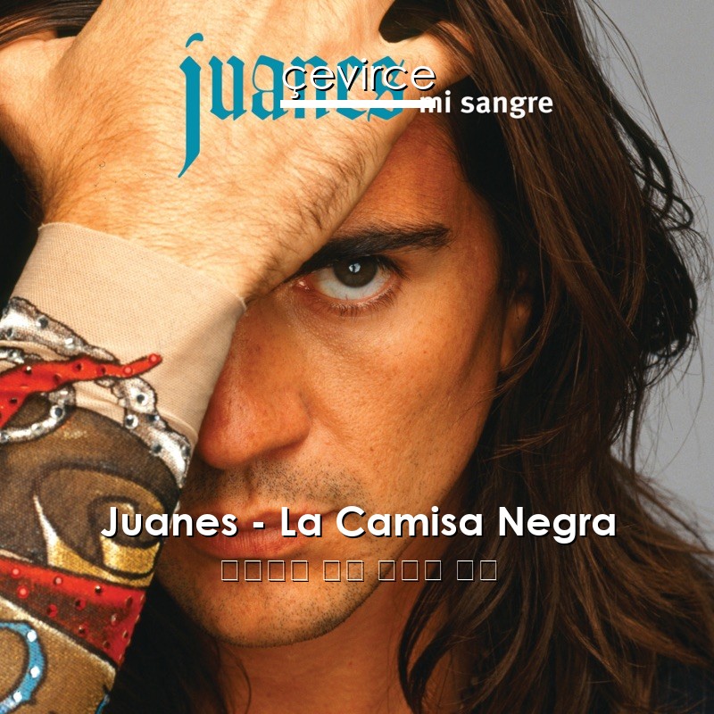 Juanes – La Camisa Negra 西班牙語 歌詞 中國人 翻譯