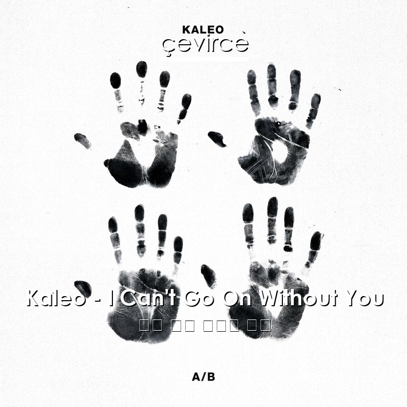 Kaleo – I Can’t Go On Without You 英語 歌詞 中國人 翻譯