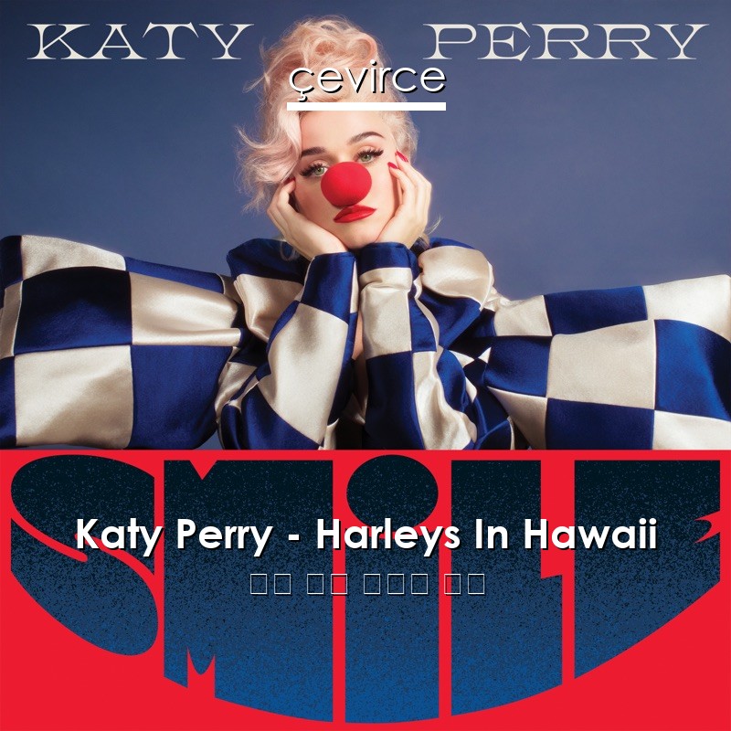 Katy Perry – Harleys In Hawaii 英語 歌詞 中國人 翻譯