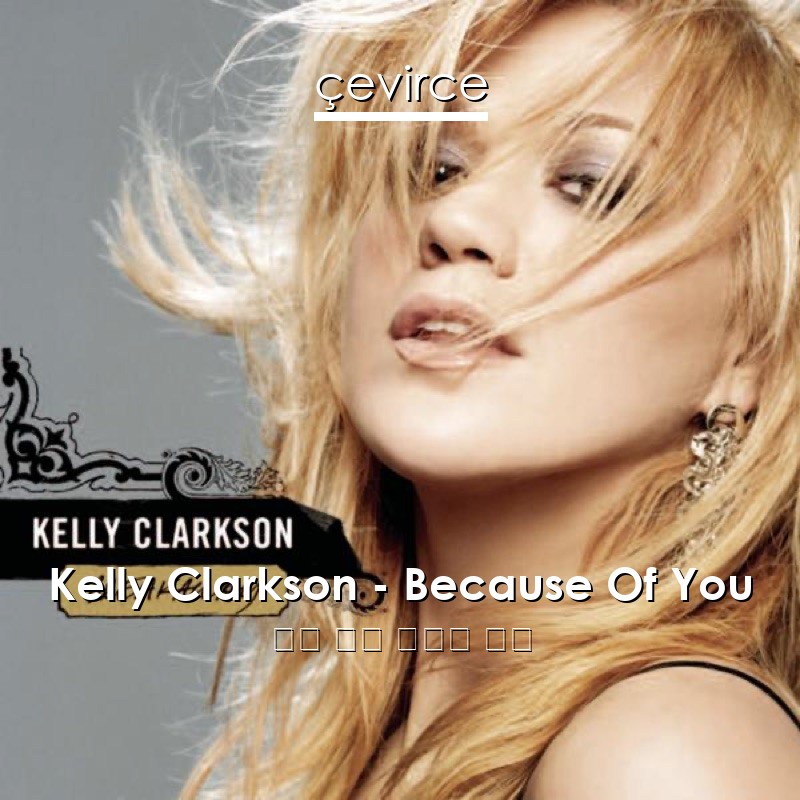 Kelly Clarkson – Because Of You 英語 歌詞 中國人 翻譯