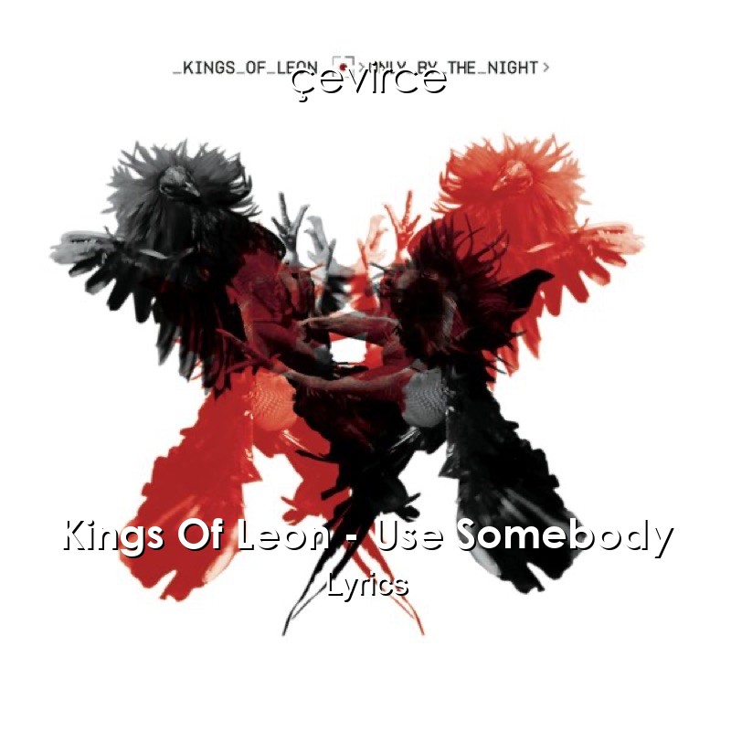 Kings Of Leon – Use Somebody Lyrics