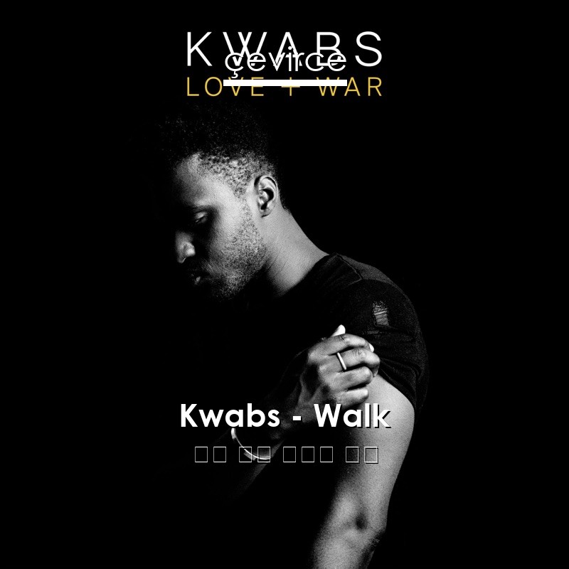 Kwabs – Walk 英語 歌詞 中國人 翻譯