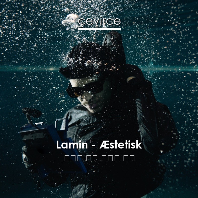 Lamin – Æstetisk 丹麥語 歌詞 中國人 翻譯