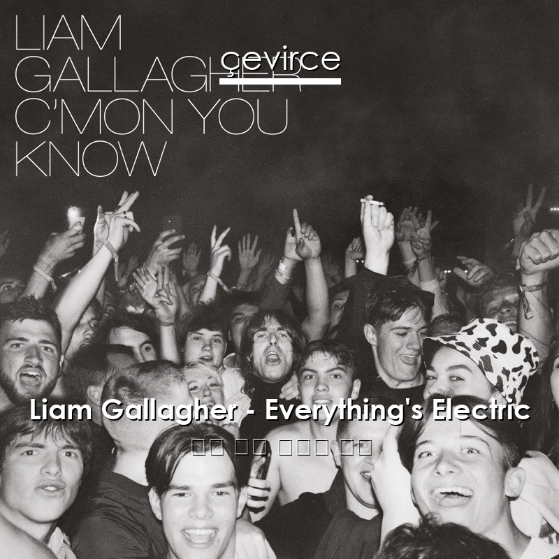 Liam Gallagher – Everything’s Electric 英語 歌詞 中國人 翻譯