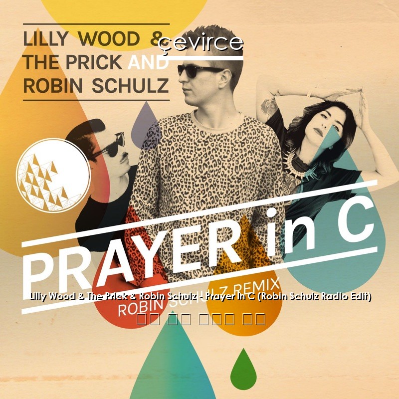 Lilly Wood & The Prick & Robin Schulz – Prayer In C (Robin Schulz Radio Edit) 英語 歌詞 中國人 翻譯