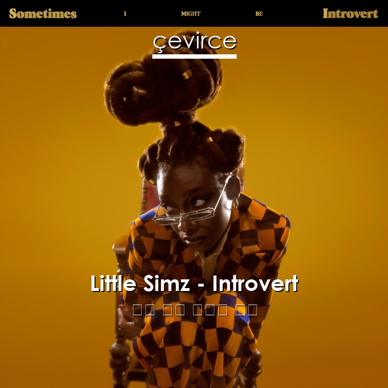 Little Simz – Introvert 英語 歌詞 中國人 翻譯