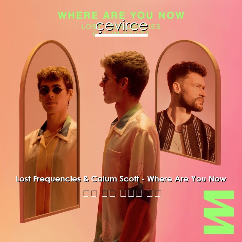 Lost Frequencies & Calum Scott – Where Are You Now 英語 歌詞 中國人 翻譯