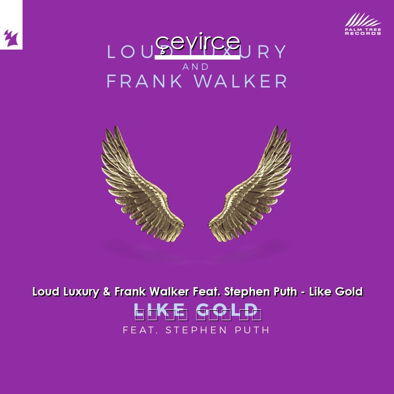 Loud Luxury & Frank Walker Feat. Stephen Puth – Like Gold 英語 歌詞 中國人 翻譯