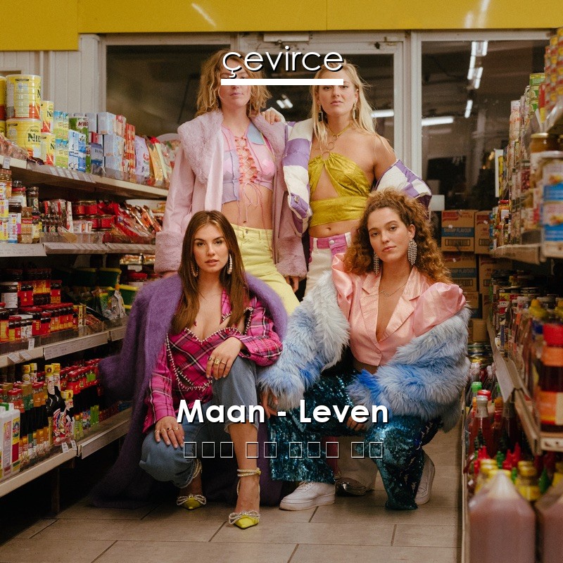 Maan – Leven 荷蘭語 歌詞 中國人 翻譯