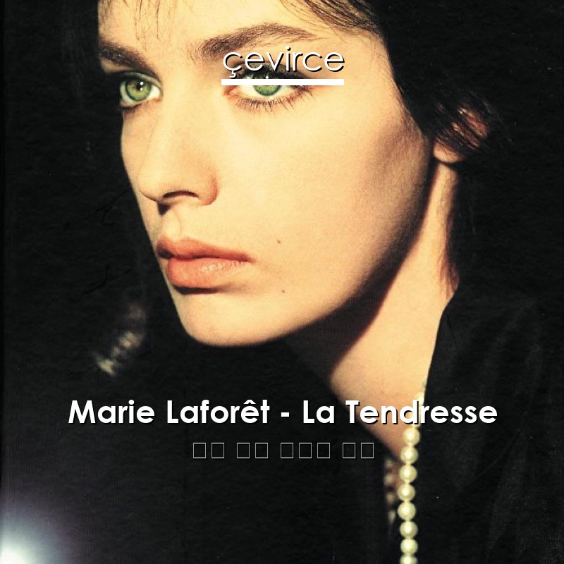 Marie Laforêt – La Tendresse 法語 歌詞 中國人 翻譯