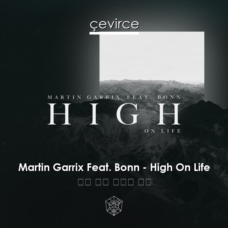 Martin Garrix Feat. Bonn – High On Life 英語 歌詞 中國人 翻譯