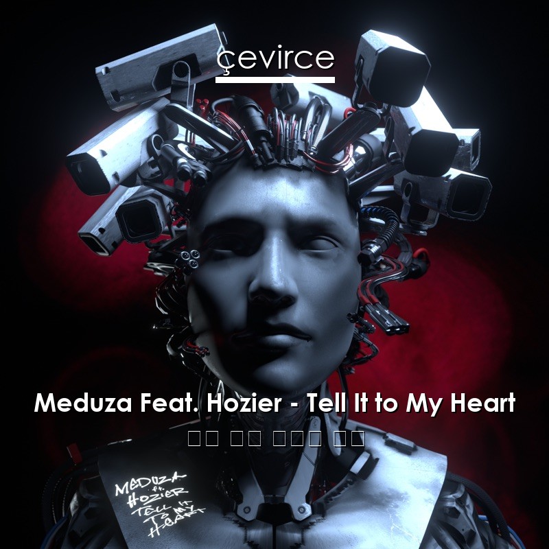 Meduza Feat. Hozier – Tell It to My Heart 英語 歌詞 中國人 翻譯