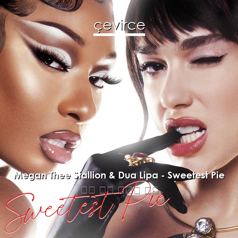 Megan Thee Stallion & Dua Lipa – Sweetest Pie 英語 歌詞 中國人 翻譯