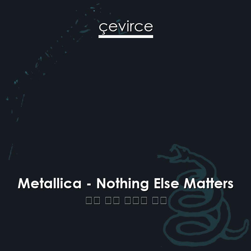 Metallica – Nothing Else Matters 英語 歌詞 中國人 翻譯