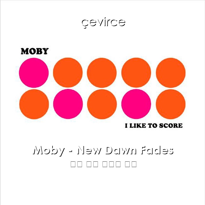 Moby – New Dawn Fades 英語 歌詞 中國人 翻譯