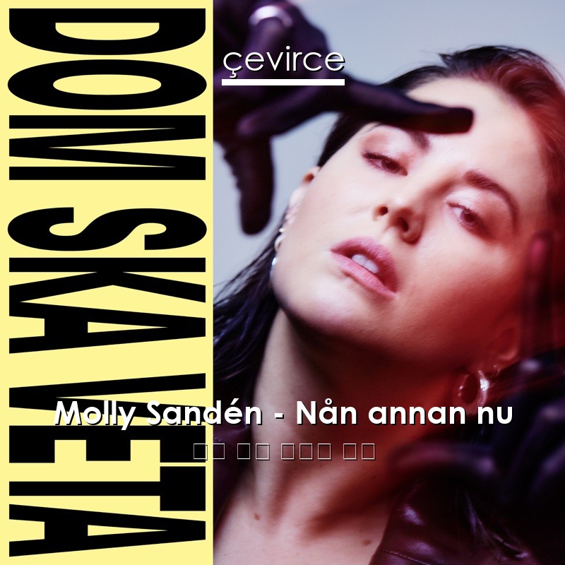 Molly Sandén – Nån annan nu 瑞典 歌詞 中國人 翻譯