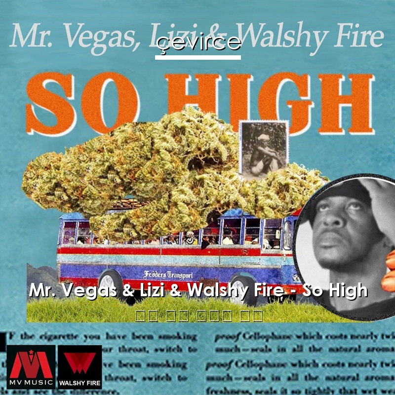 Mr. Vegas & Lizi & Walshy Fire – So High 英語 歌詞 中國人 翻譯