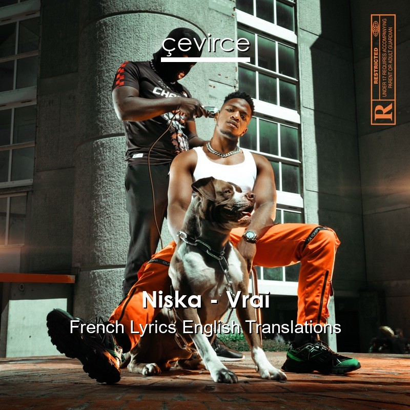 Niska – Vrai French Lyrics English Translations