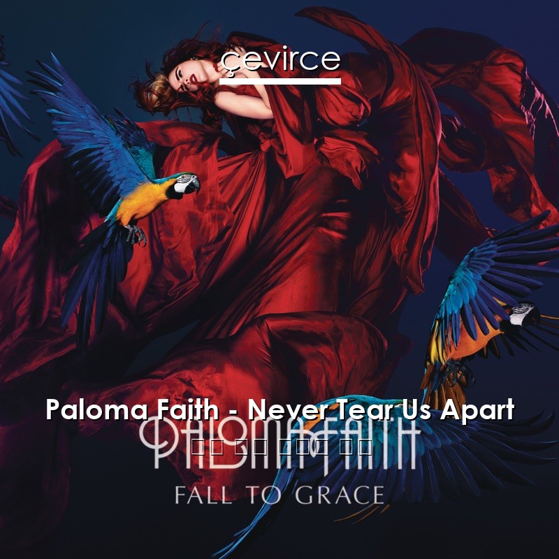 Paloma Faith – Never Tear Us Apart 英語 歌詞 中國人 翻譯