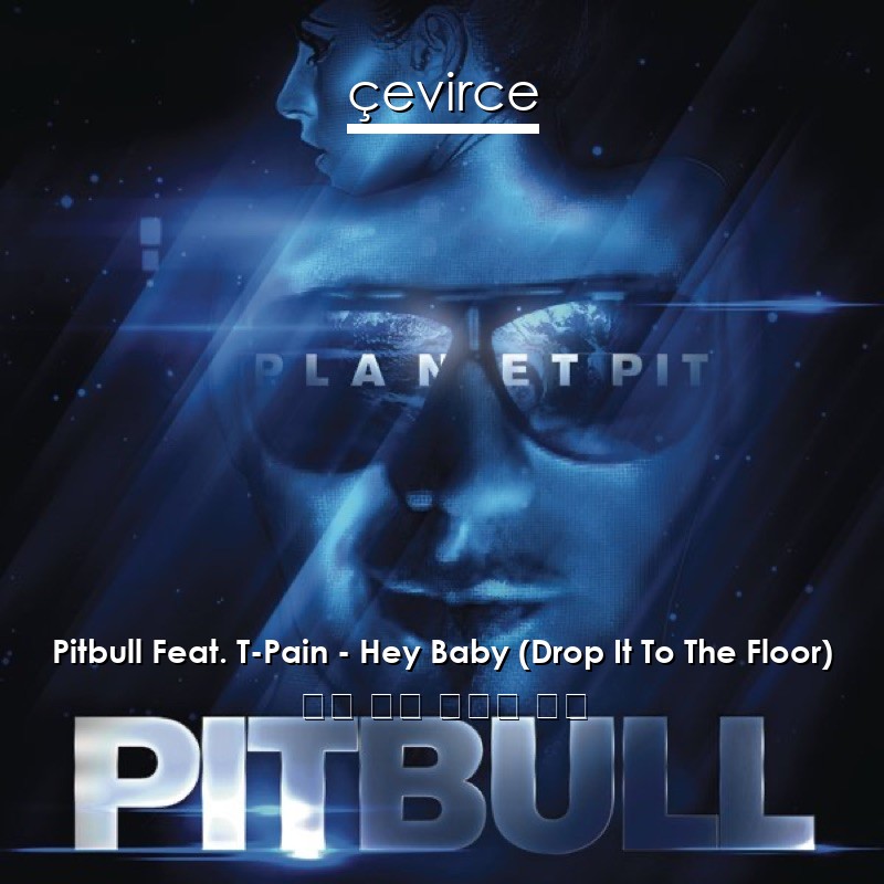 Pitbull Feat. T-Pain – Hey Baby (Drop It To The Floor) 英語 歌詞 中國人 翻譯