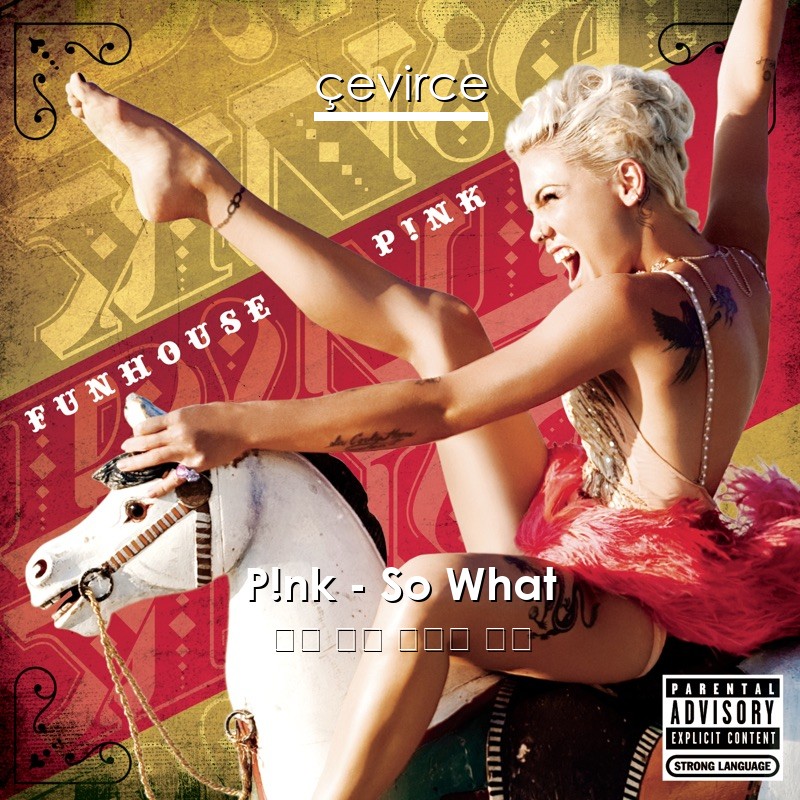 P!nk – So What 英語 歌詞 中國人 翻譯