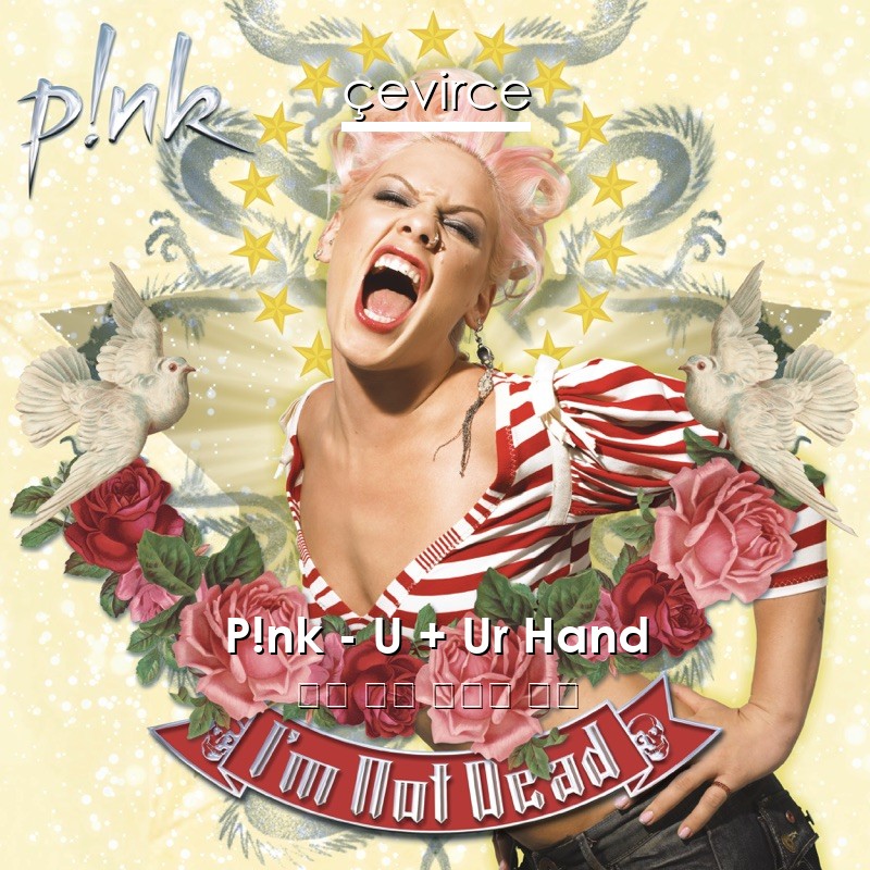 P!nk – U + Ur Hand 英語 歌詞 中國人 翻譯