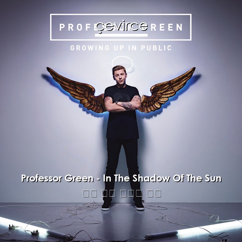 Professor Green – In The Shadow Of The Sun 英語 歌詞 中國人 翻譯