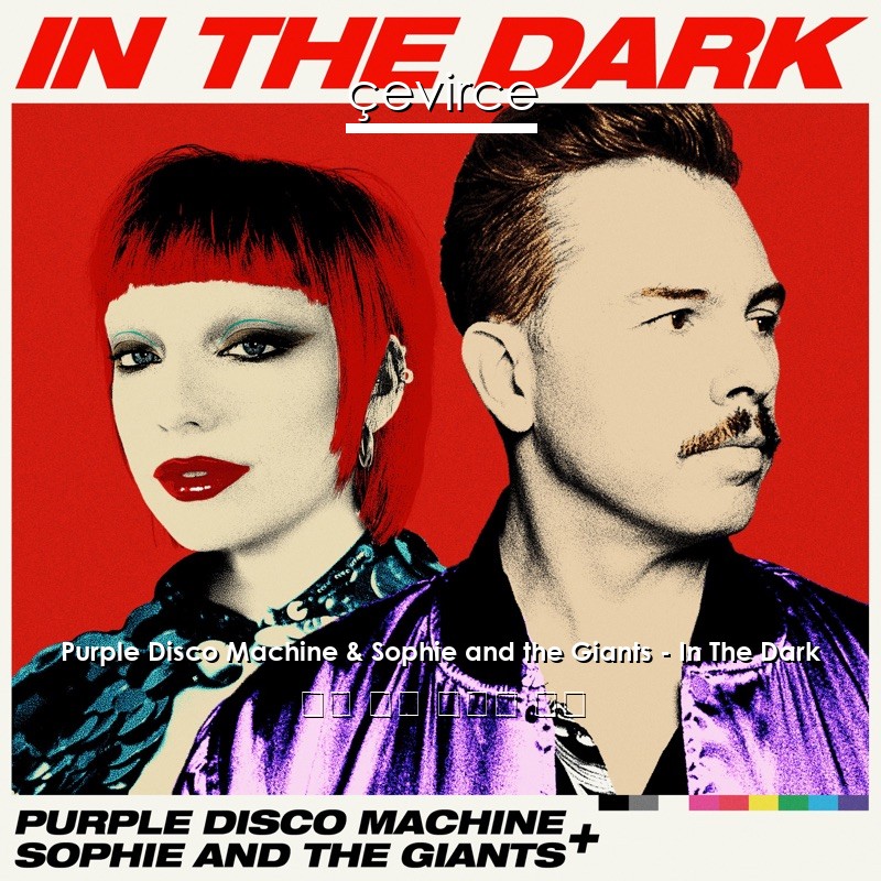 Purple Disco Machine & Sophie and the Giants – In The Dark 英語 歌詞 中國人 翻譯