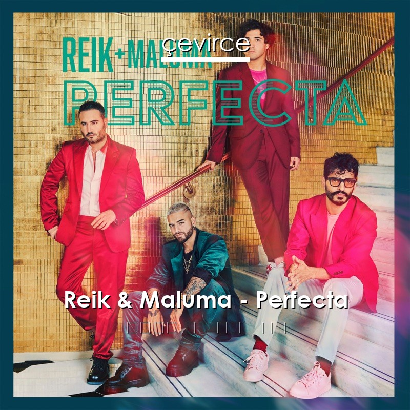 Reik & Maluma – Perfecta 西班牙語 歌詞 中國人 翻譯