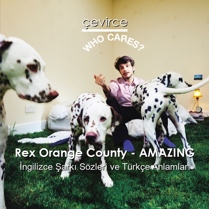 Rex Orange County – AMAZING İngilizce Şarkı Sözleri Türkçe Anlamları