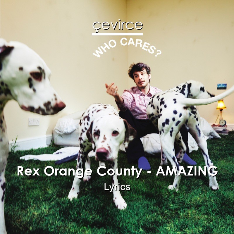 Rex Orange County – AMAZING Lyrics