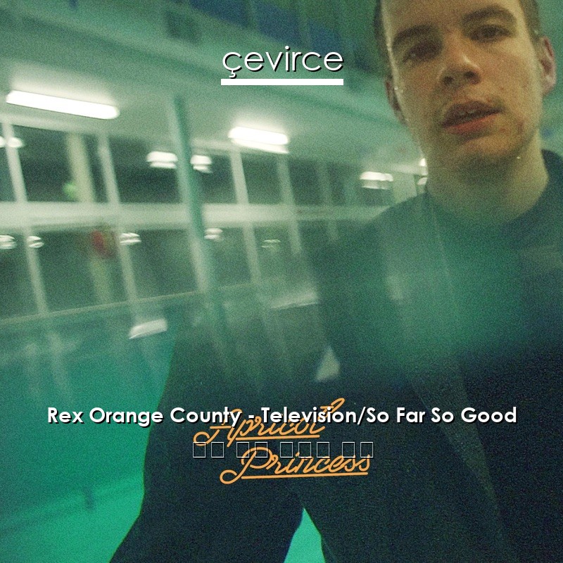 Rex Orange County – Television/So Far So Good 英語 歌詞 中國人 翻譯