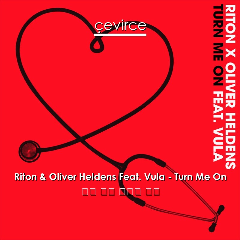 Riton & Oliver Heldens Feat. Vula – Turn Me On 英語 歌詞 中國人 翻譯