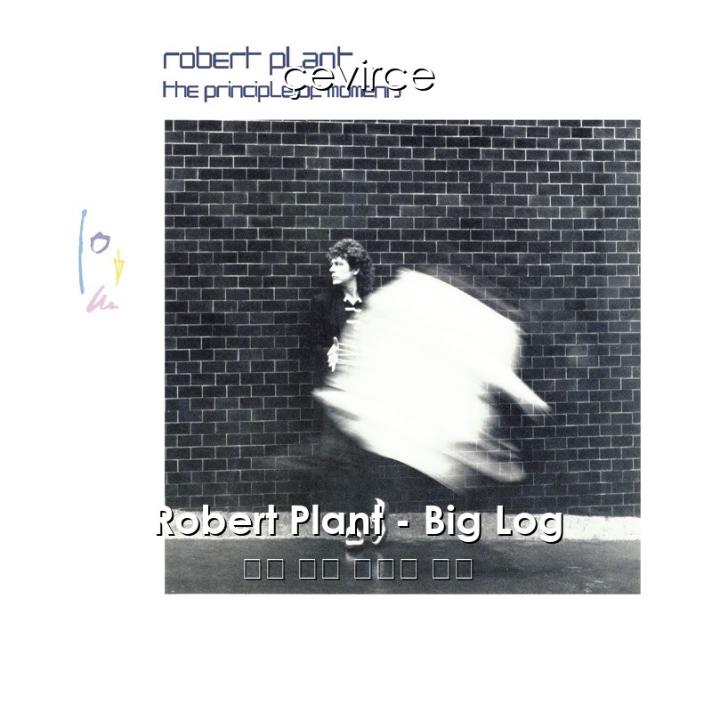 Robert Plant – Big Log 英語 歌詞 中國人 翻譯