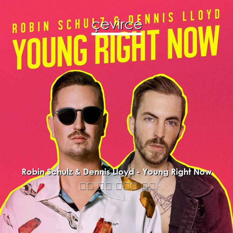 Robin Schulz & Dennis Lloyd – Young Right Now 英語 歌詞 中國人 翻譯