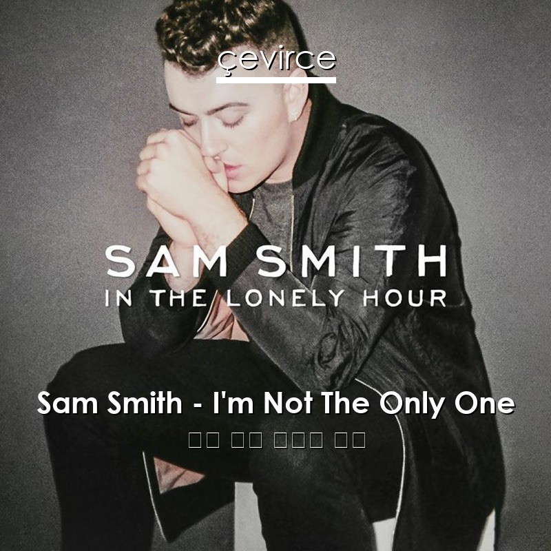 Sam Smith – I’m Not The Only One 英語 歌詞 中國人 翻譯