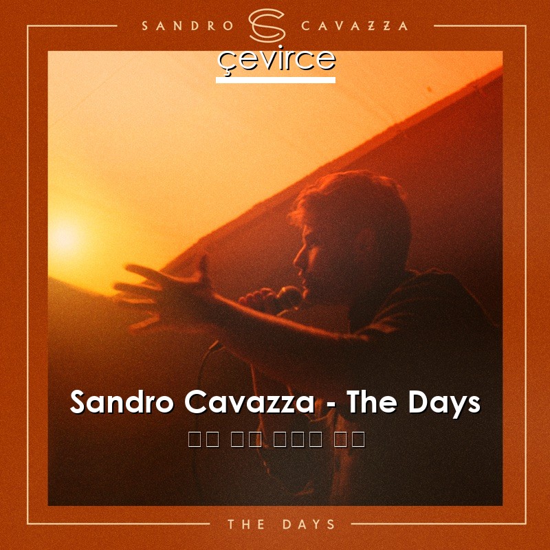 Sandro Cavazza – The Days 英語 歌詞 中國人 翻譯