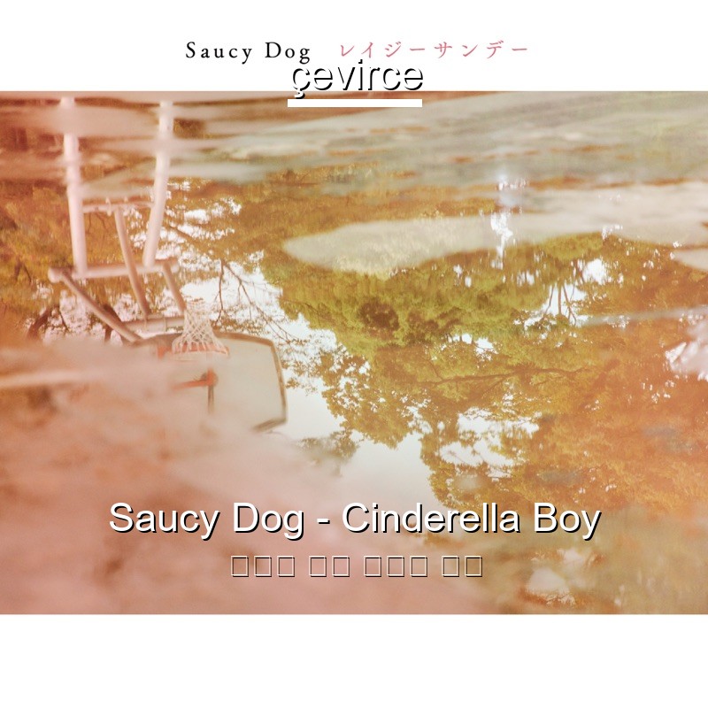 Saucy Dog – Cinderella Boy 日本人 歌詞 中國人 翻譯