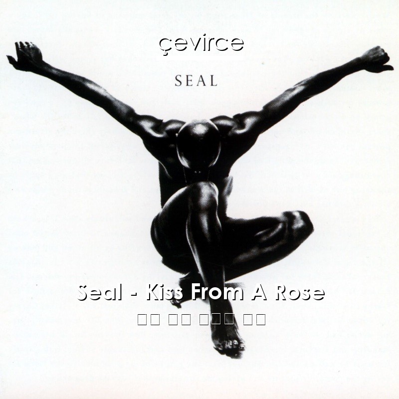 Seal – Kiss From A Rose 英語 歌詞 中國人 翻譯