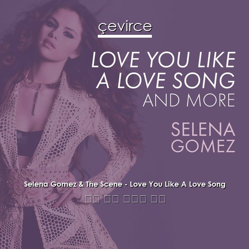 Selena Gomez & The Scene – Love You Like A Love Song 英語 歌詞 中國人 翻譯