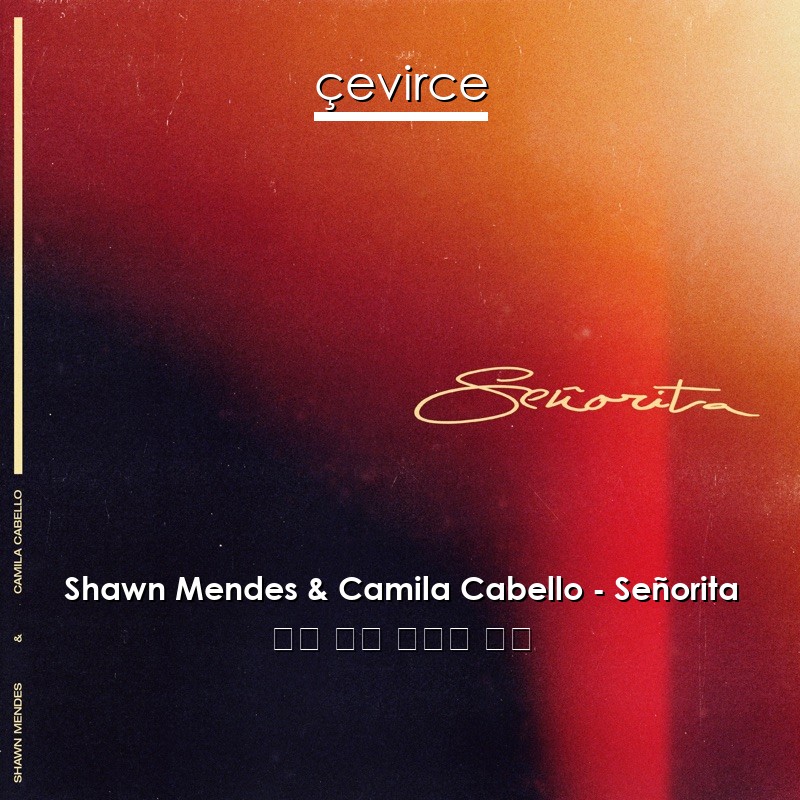 Shawn Mendes & Camila Cabello – Señorita 英語 歌詞 中國人 翻譯